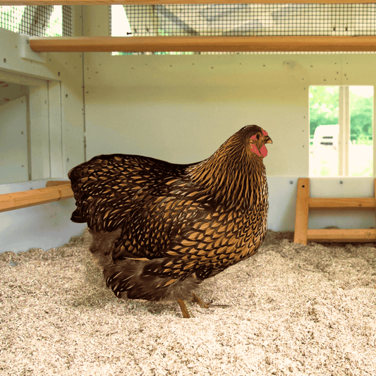 Hemp Animal Bedding