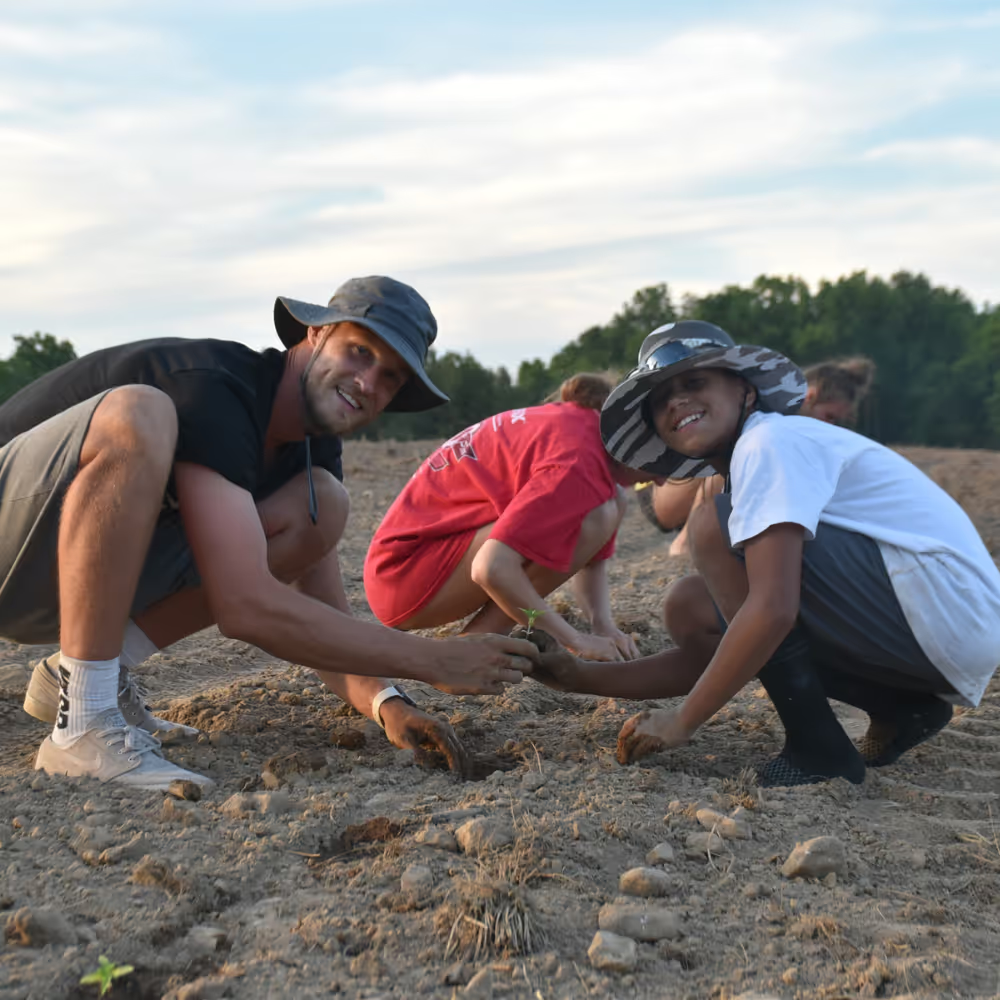 It all starts with the seed