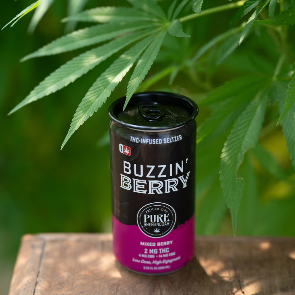 Buzzin Berry THC seltzer can standing in front of cannabis leaves