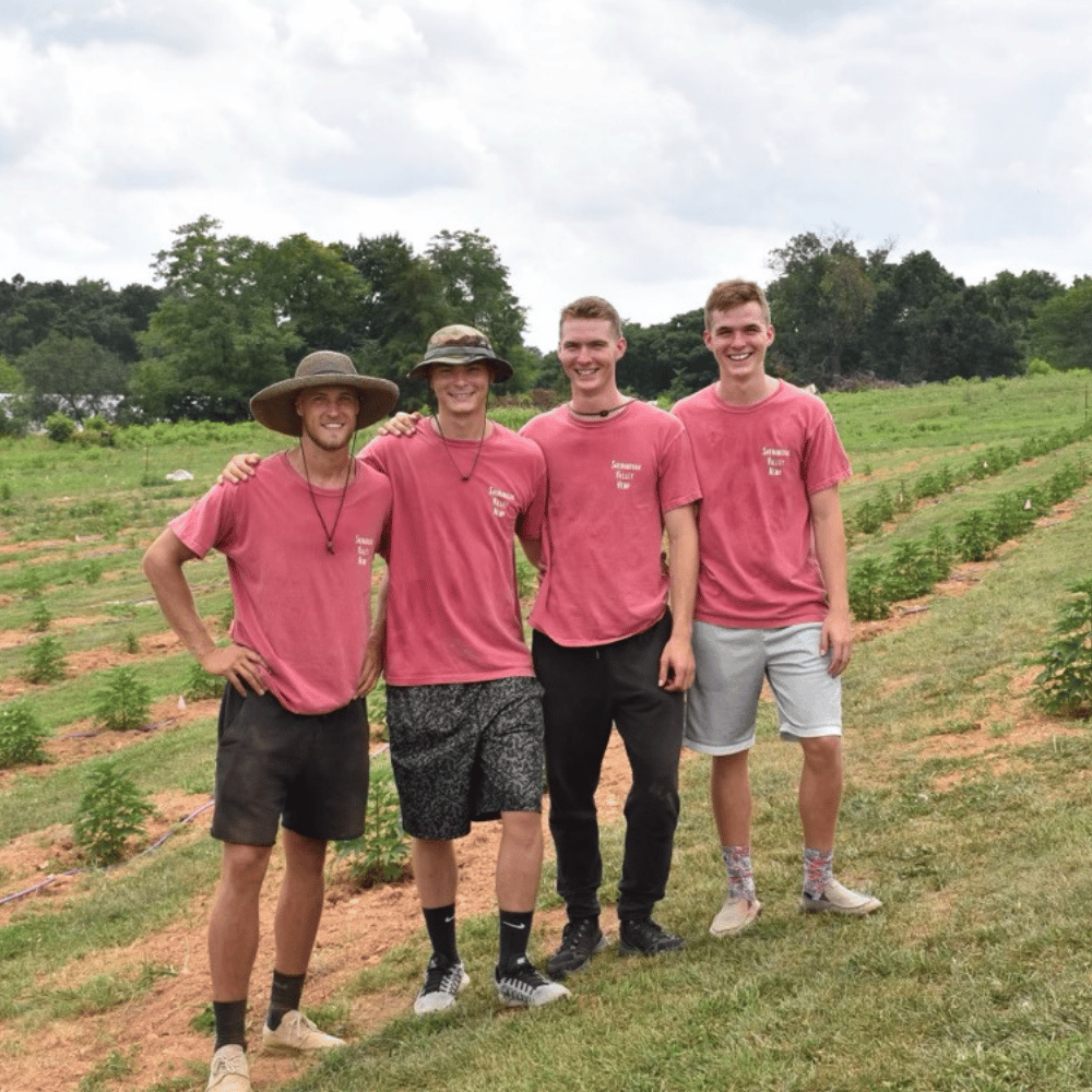 Four Pure Shenandoah team members standing in a cultivated hemp field