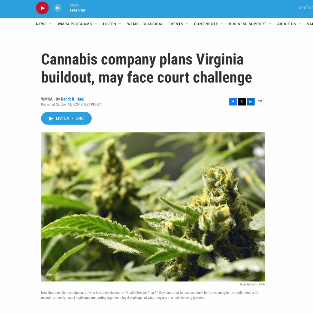 WMRA coverage showing a mature cannabis flower