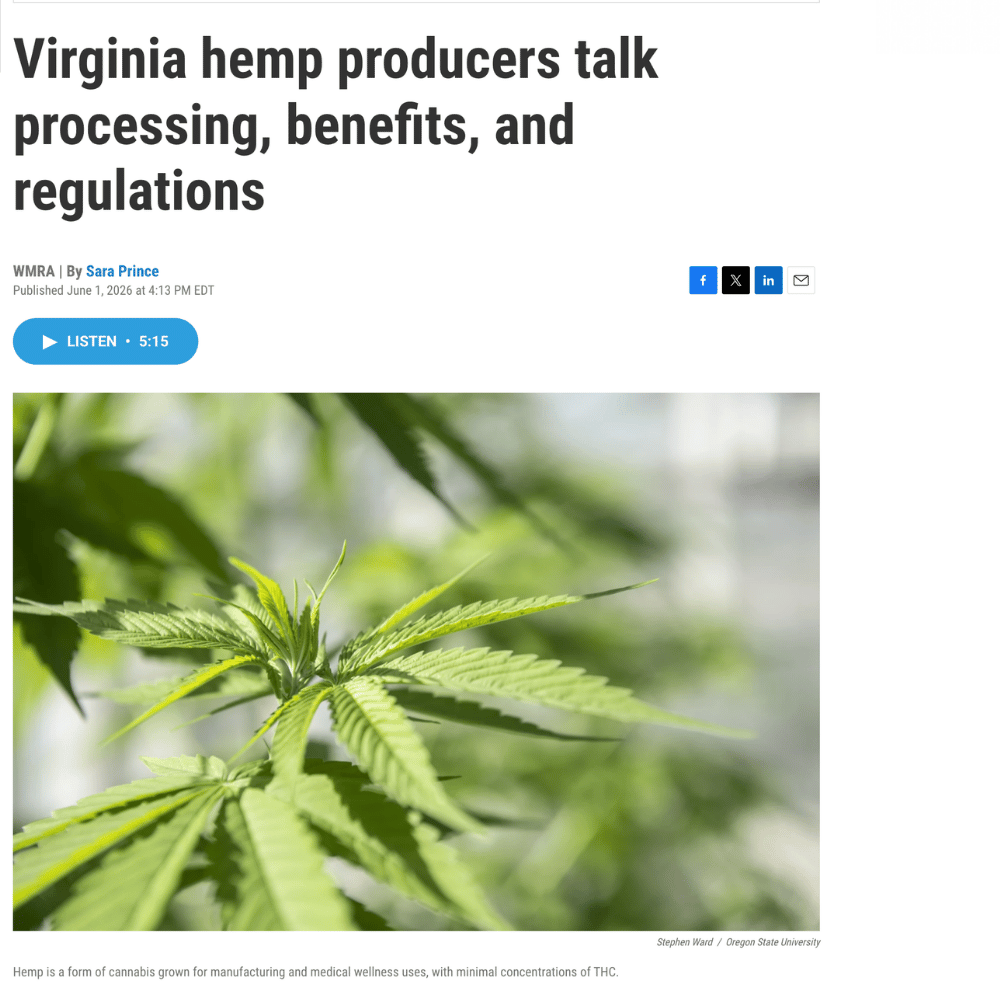 WMRA article about hemp processing with a close-up of cannabis leaves