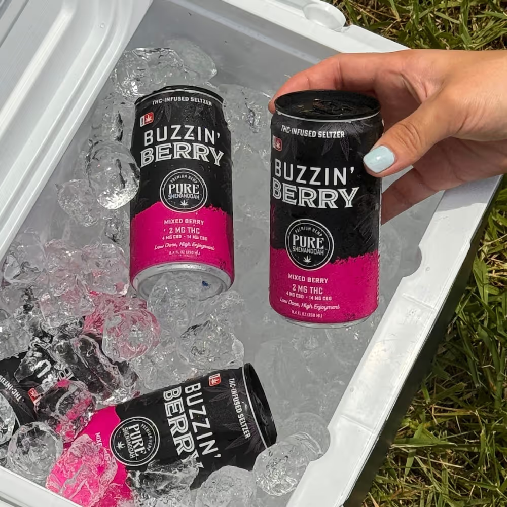 Buzzin Berry THC seltzer cans chilling in a cooler of ice