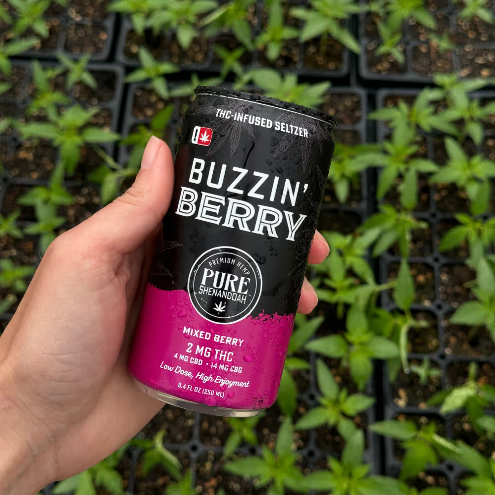 Hand holding a Buzzin Berry THC seltzer can among green cannabis plants