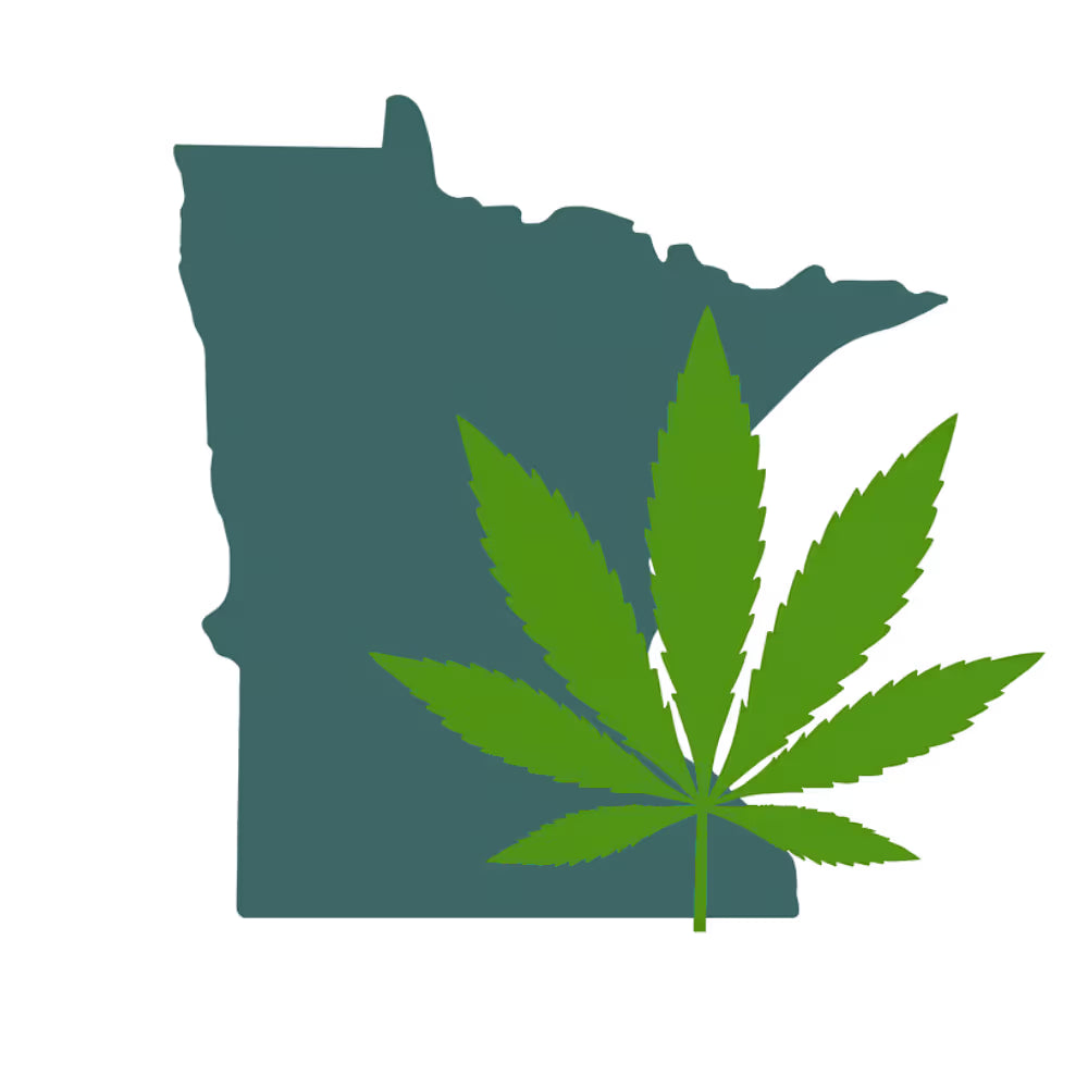 Minnesota silhouette containing a green cannabis leaf
