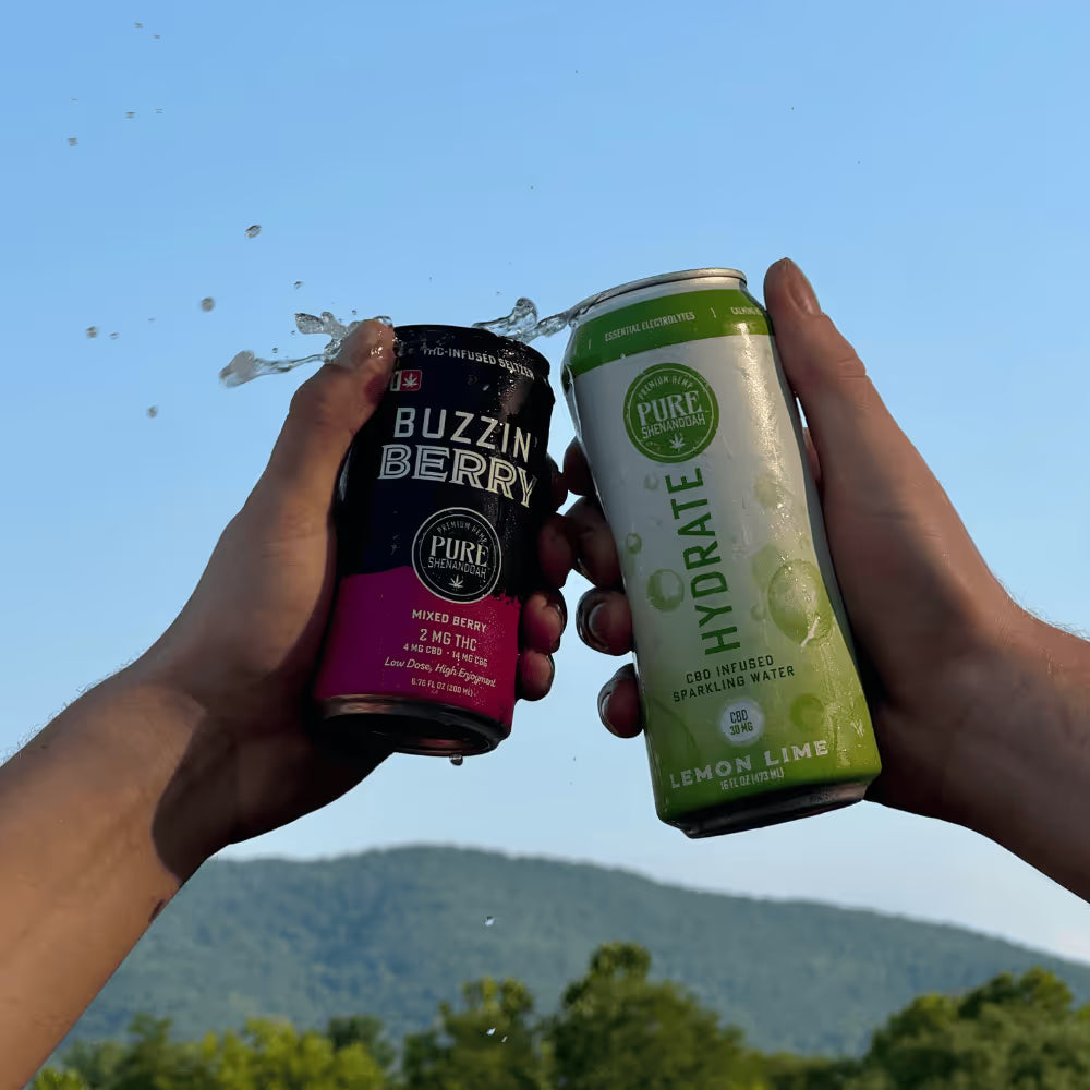 Hands raising Buzzin Berry and Hydrate cans over mountain scenery