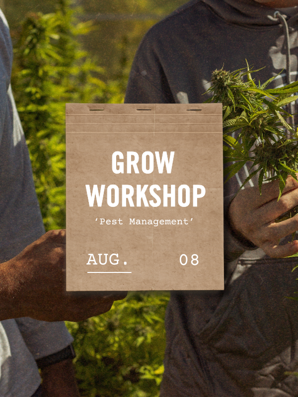 Pure Shenandoah pest management grow workshop card image.
