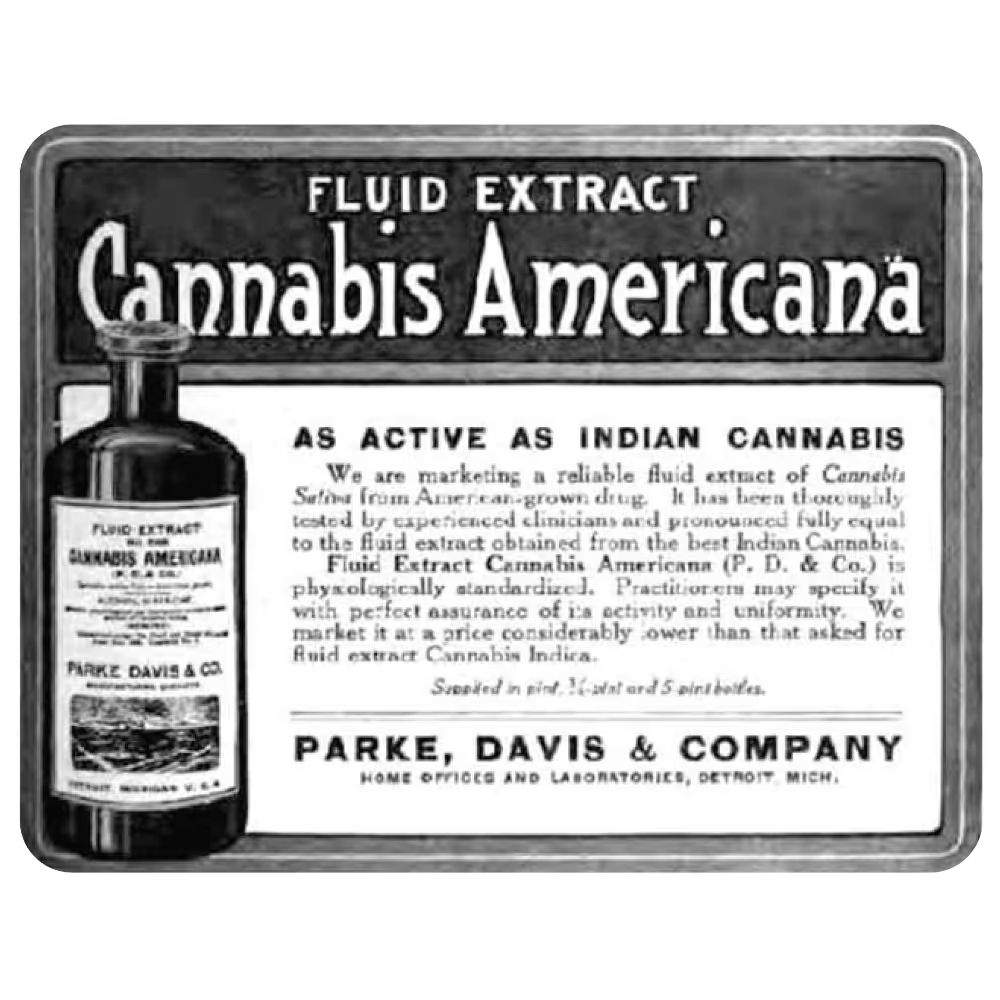 In 1850 cannabis was added to the U.S. Pharmacopeia, becoming a mainstream medicine in Western healthcare.