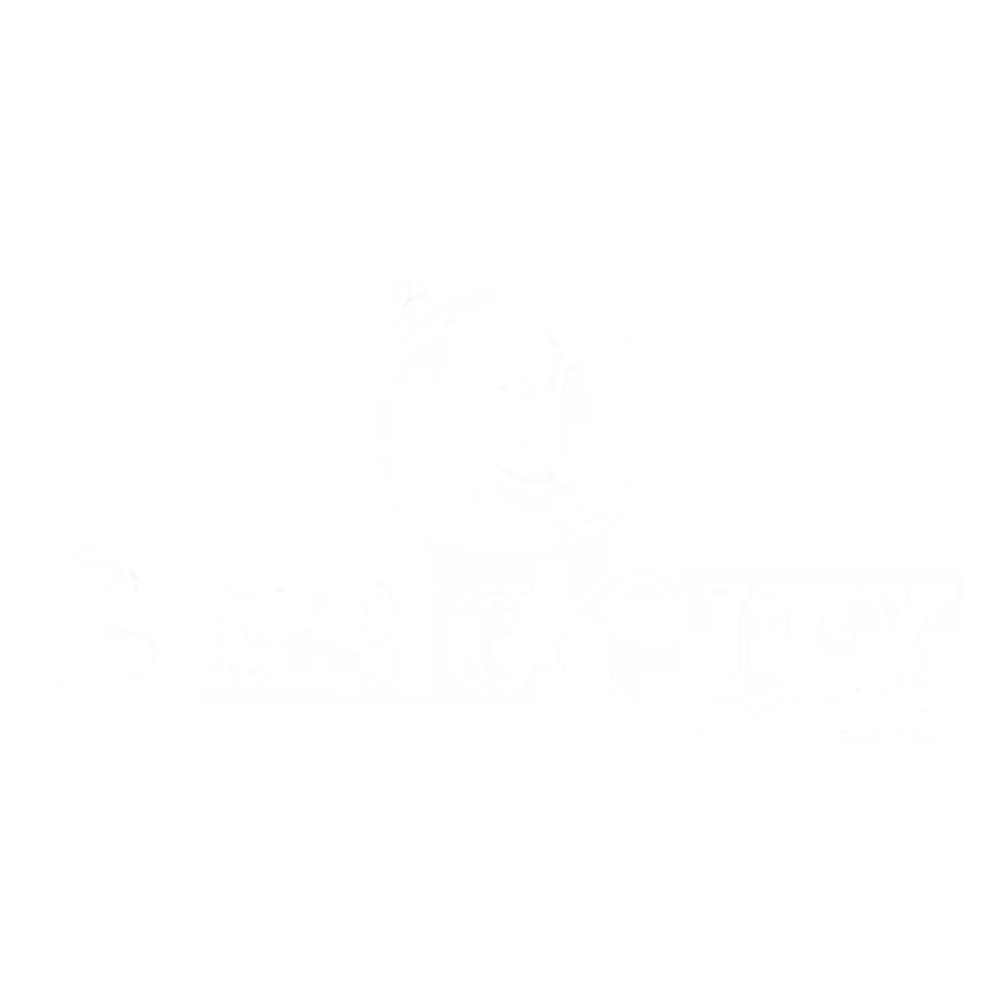 Basic City Beer Co.