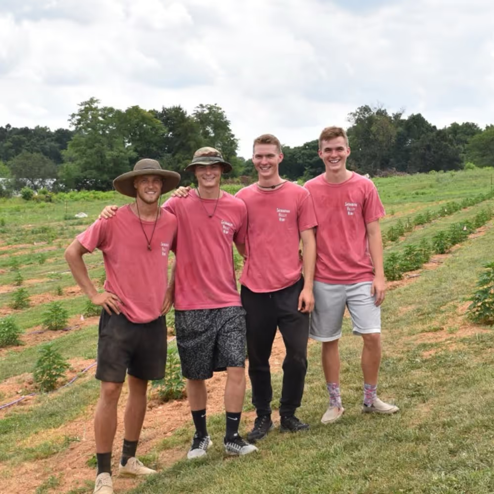 Pure Shenandoah's founding family, the Johnson family, in their first hemp farm in Shenandoah Valley Virginia.
